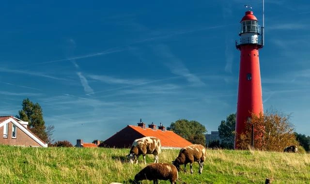 Vista de Hook of Holland